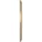 Ekena Millwork Baltimore PVC Medallion (Canopies up to 4 1/4"), 10"OD x 3 1/2"ID x 3/4"P, Metallic Champagne Mist CMP10BAECE - alternate 3